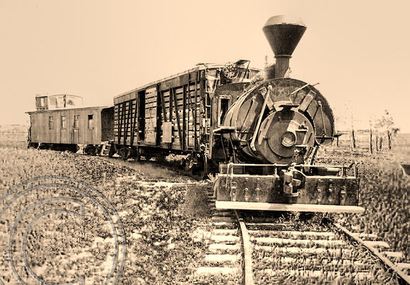 Old Narrow Gauge Train-1870 Ghost Town-South Dakota